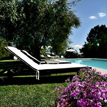 Agriturismo Al Colle Bertinoro Dış mekan fotoğraf