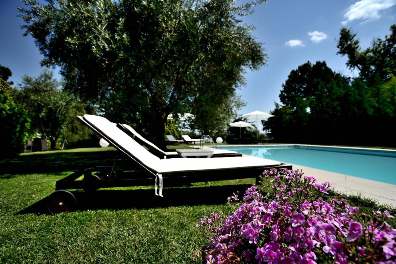 Agriturismo Al Colle Bertinoro Dış mekan fotoğraf