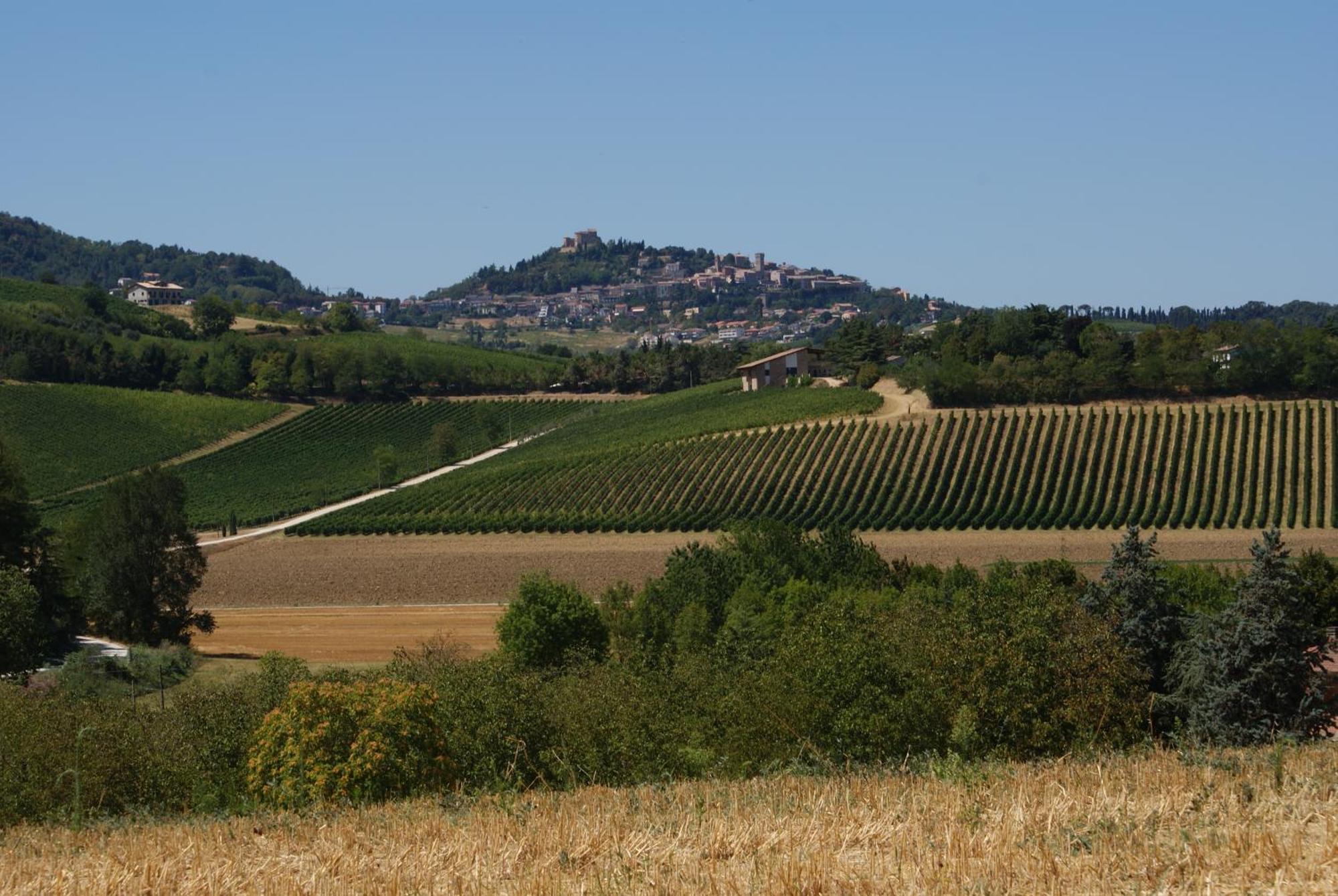 Agriturismo Al Colle Bertinoro Dış mekan fotoğraf