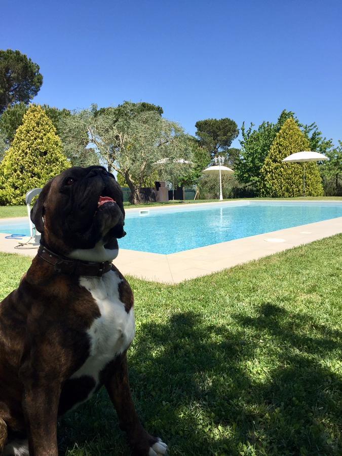 Agriturismo Al Colle Bertinoro Dış mekan fotoğraf